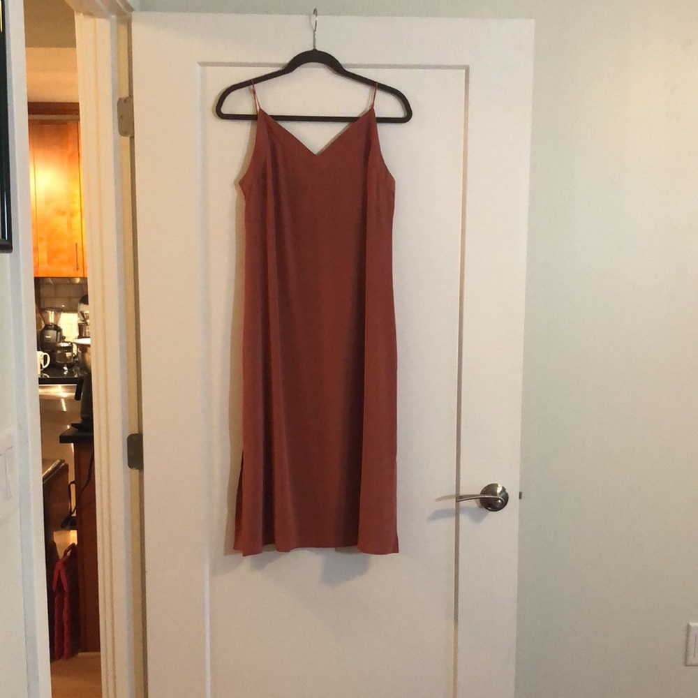 New w/o Tags Cuyana Silk slip dress in passion fruit